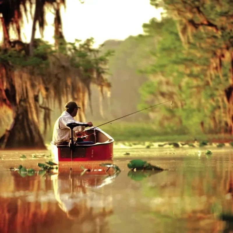 Transom-Mount Electric Trolling Motor