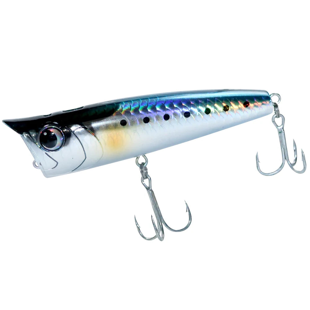 Floating Fishing Lure with Hook