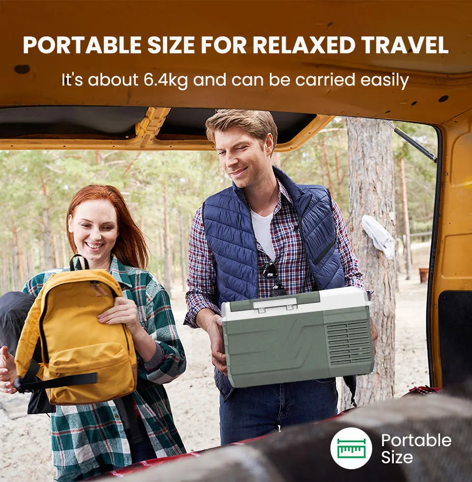 Refrigerator  AC Electric Cooler Plug in Mini Freezer f