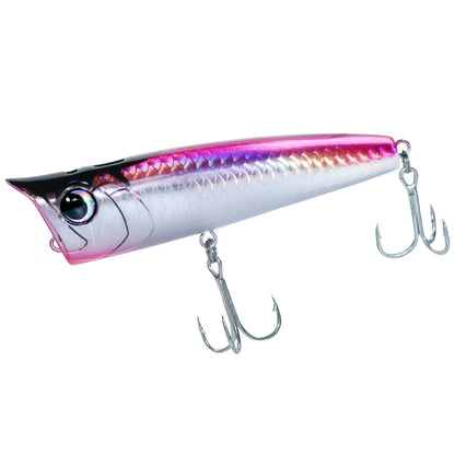 Floating Fishing Lure with Hook