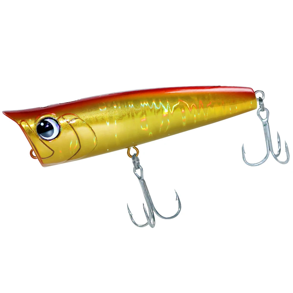 Floating Fishing Lure with Hook
