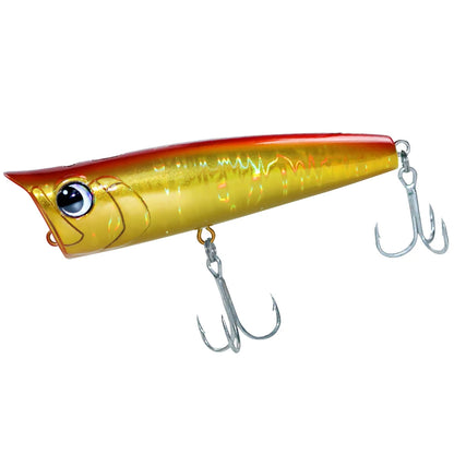 Floating Fishing Lure with Hook