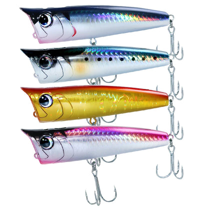 Floating Fishing Lure with Hook