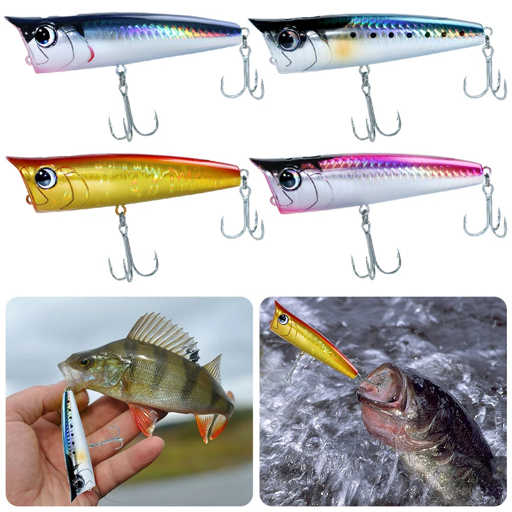 Floating Fishing Lure with Hook