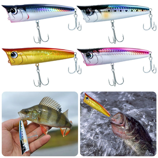 Floating Fishing Lure with Hook