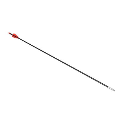 Compound Bow Recurve Bow w/ 12x Arrows Set